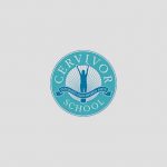 Cervivor School: A advocacy training program for cervical cancer survivors - blog post image